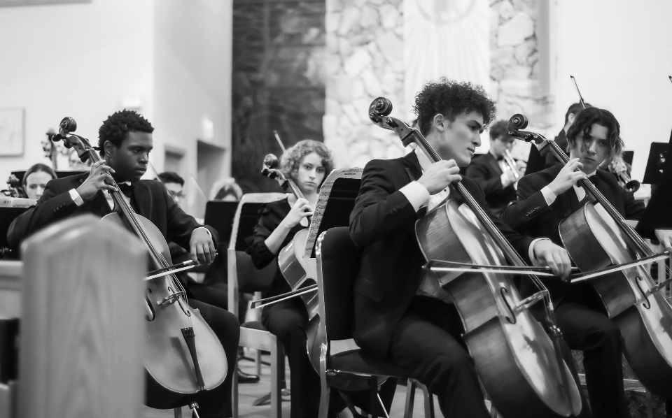 Musicians performing in an orchestra.